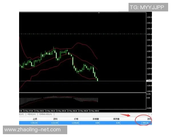 秘鲁与新西兰精彩对决视频直播全程回顾与分析